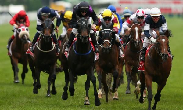 melbourne cup